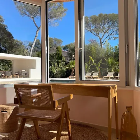 Aloes - Proche Des Plages
